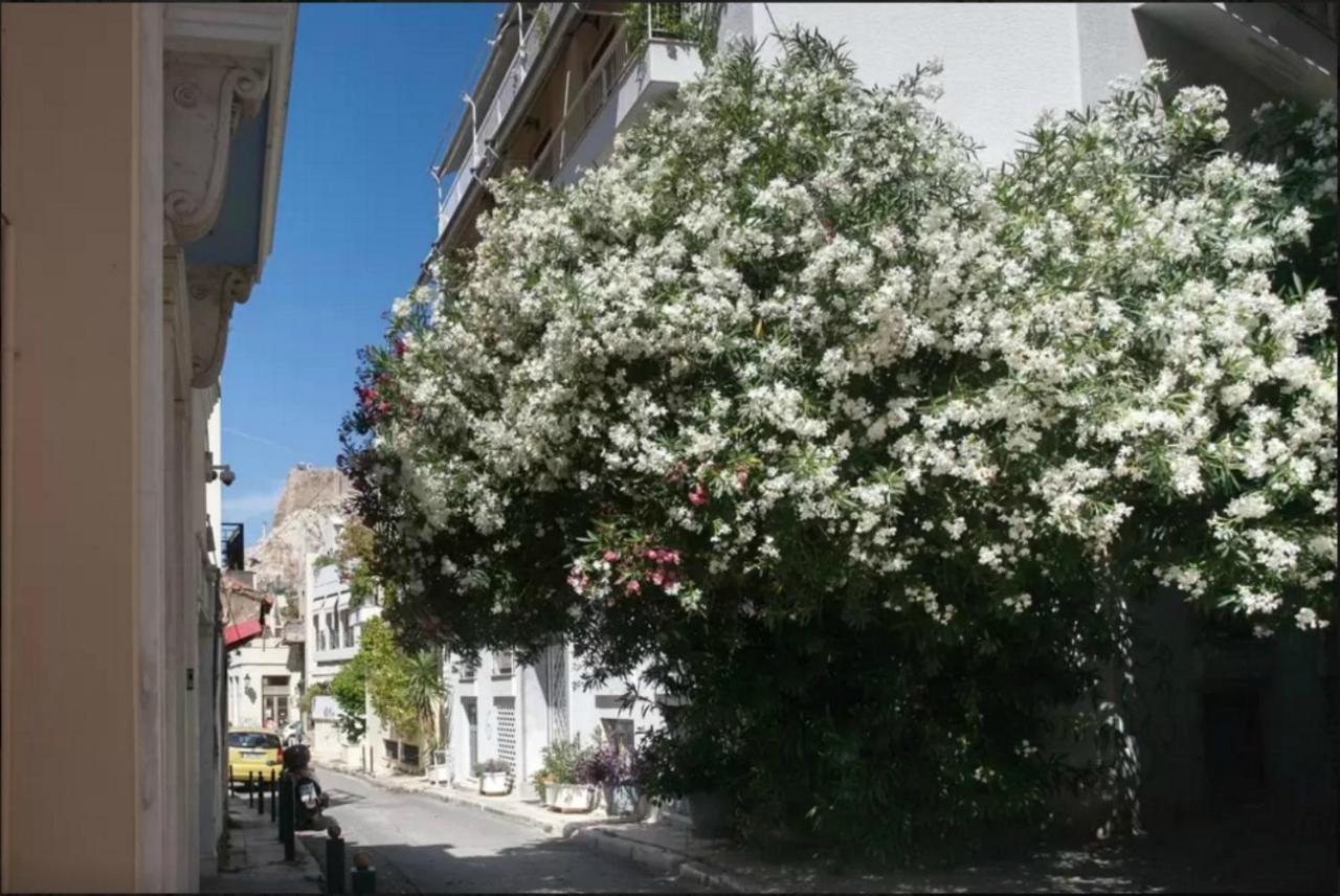 Apartamento Nephiria, Back To Tradition, In The Heart Of Plaka! Atenas Exterior foto